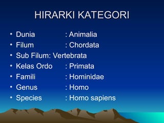 HIRARKI KATEGORI
HIRARKI KATEGORI
• Dunia : Animalia
• Filum : Chordata
• Sub Filum: Vertebrata
• Kelas Ordo : Primata
• Famili : Hominidae
• Genus : Homo
• Species : Homo sapiens
 