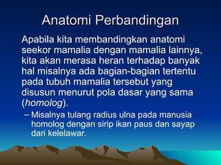 Anatomi Perbandingan
Anatomi Perbandingan
Apabila kita membandingkan anatomi
seekor mamalia dengan mamalia lainnya,
kita akan merasa heran terhadap banyak
hal misalnya ada bagian-bagian tertentu
pada tubuh mamalia tersebut yang
disusun menurut pola dasar yang sama
(homolog).
– Misalnya tulang radius ulna pada manusia
homolog dengan sirip ikan paus dan sayap
dari kelelawar.
 