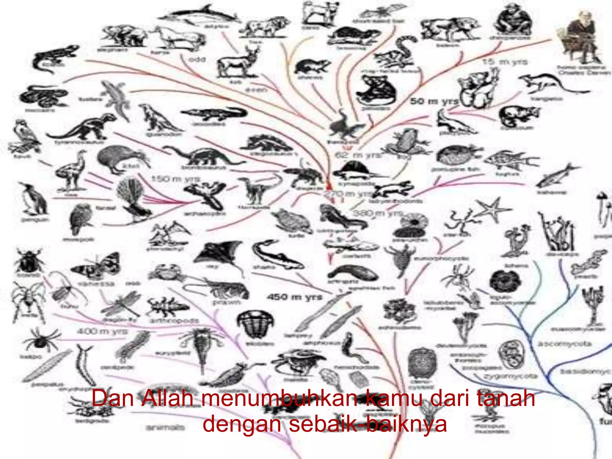 Evolusi dan Asal Usul Kehidupan | PPT