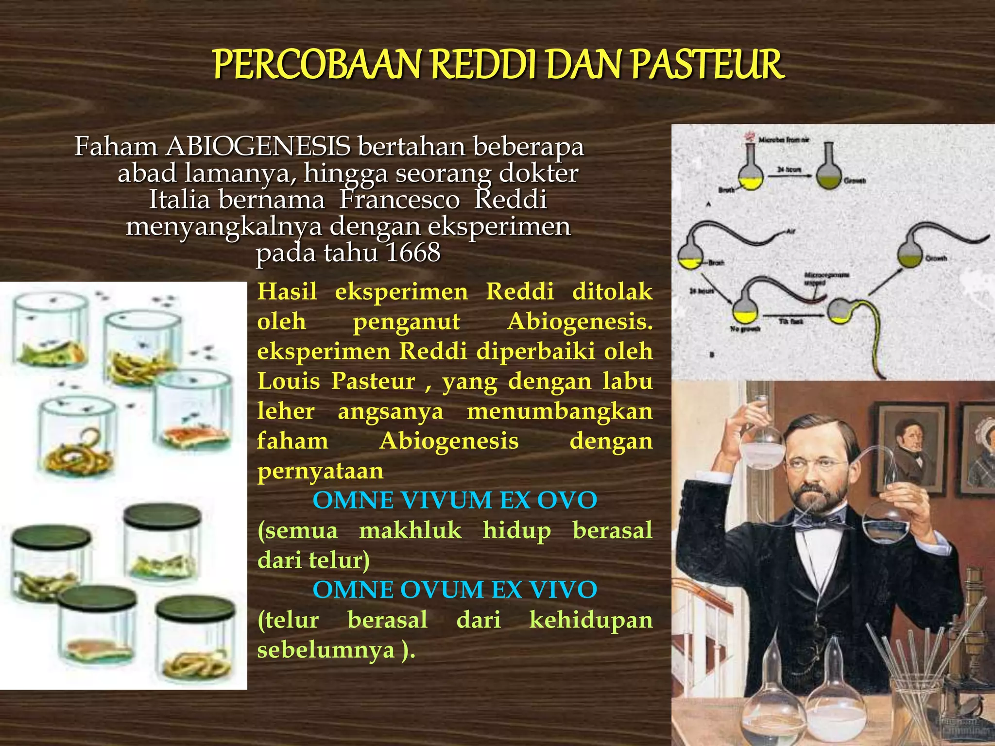 Evolusi dan Asal Usul Kehidupan | PPT