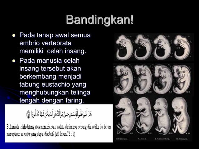 Evolusi dan Asal Usul Kehidupan | PPT