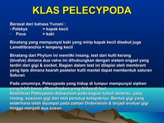 KLAS PELECYPODA
Berasal dari bahasa Yunani :
- Pelekys       = kapak kecil
- Pous          = kaki

Binatang yang mempunyai kaki yang mirip kapak kecil disebut juga
Lamellibranchia = lempeng kecil

Binatang dari Phylum ini memilki insang, test dari kulit kerang
(bivalve) dimana dua valve ini dihubungkan dengan sistem engsel yang
terdiri dari gigi & socket. Bagian dalam test ini dilapisi oleh membrant
yang tipis dimana kearah posteior kulit mantel dapat membentuk saluran
Saluran

Pada umumnya, Pelecypoda yang hidup di lumpur mempunyai siphon
yang lebih besar dibandingkan yang hidup di laut.
Klasifikasi Pelecypoda didasarkan pada bagian tubuh tertentu, yaitu
insang, susunan gigi dan otot penutup kelopaknya. Bentuk gigi yang
sederhana telah dijumpai pada zaman Ordovisium & terjadi evolusi gigi
hingga menjadi dua susun

                                                       14
 