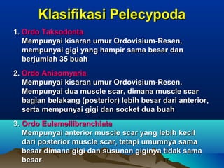 Klasifikasi Pelecypoda
1. Ordo Taksodonta
   Mempunyai kisaran umur Ordovisium-Resen,
   mempunyai gigi yang hampir sama besar dan
   berjumlah 35 buah
2. Ordo Anisomyaria
   Mempunyai kisaran umur Ordovisium-Resen.
   Mempunyai dua muscle scar, dimana muscle scar
   bagian belakang (posterior) lebih besar dari anterior,
   serta mempunyai gigi dan socket dua buah
3. Ordo Eulamellibranchiata
   Mempunyai anterior muscle scar yang lebih kecil
   dari posterior muscle scar, tetapi umumnya sama
   besar dimana gigi dan susunan giginya tidak sama
   besar                                  17
 