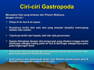 Ciri-ciri Gastropoda
Merupakan klas yang terbesar dari Phylum Mollusca,
dengan ciri-ciri :
 Hidup di air laut & air payau

 Rumahnya terdiri dari satu test yang terputar (terpilin) memanjang
  melalui satu sumbu

 Tubuhnya terdiri dari kepala, kaki dan alat pencernaan

 Kepala dilengkapi dengan alat pengunyah yang disebut rongga mantel
  (berfungsi sebagai insang pada air laut & berfungsi sebagai paru-paru
  pada lingkungan darat

 Test terdiri dari zat gampingan dan terputar secara spiral melalui satu
  garis lurus (putaran involut & evolut)

 Arah putaran test gastropoda terdiri dari Dextral (searah jarum jam) &
  Sinistral (berlawanan putaran jarum jam)

                                                       21
 