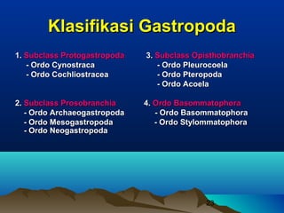 Klasifikasi Gastropoda
1. Subclass Protogastropoda   3. Subclass Opisthobranchia
   - Ordo Cynostraca             - Ordo Pleurocoela
   - Ordo Cochliostracea         - Ordo Pteropoda
                                 - Ordo Acoela

2. Subclass Prosobranchia     4. Ordo Basommatophora
   - Ordo Archaeogastropoda      - Ordo Basommatophora
   - Ordo Mesogastropoda         - Ordo Stylommatophora
   - Ordo Neogastropoda




                                            23
 