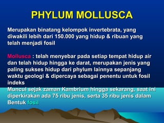 PHYLUM MOLLUSCA
Merupakan binatang kelompok invertebrata, yang
diwakili lebih dari 150.000 yang hidup & ribuan yang
telah menjadi fosil

Mollusca : telah menyebar pada setiap tempat hidup air
dan telah hidup hingga ke darat, merupakan jenis yang
paling sukses hidup dari phylum lainnya sepanjang
waktu geologi & dipercaya sebagai penentu untuk fosil
indeks
Muncul sejak zaman Kambrium hingga sekarang, saat ini
diperkirakan ada 75 ribu jenis, serta 35 ribu jenis dalam
Bentuk fosil

                                          3
 