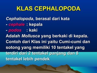 KLAS CEPHALOPODA
Cephalopoda, berasal dari kata
- cephale : kepala
- podos : kaki
Adalah Mollusca yang berkaki di kepala.
Contoh dari Klas ini yaitu Cumi-cumi dan
sotong yang memiliki 10 tentakel yang
terdiri dari 2 tentakel panjang dan 8
tentakel lebih pendek

                              30
 