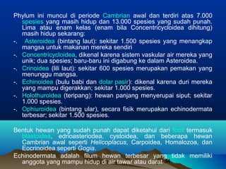 Phylum ini muncul di periode Cambrian awal dan terdiri atas 7.000
   spesies yang masih hidup dan 13.000 spesies yang sudah punah.
   Lima atau enam kelas (enam bila Concentricycloidea dihitung)
   masih hidup sekarang:
-. Asteroidea (bintang laut): sekitar 1.500 spesies yang menangkap
   mangsa untuk makanan mereka sendiri
-. Concentricycloidea, dikenal karena sistem vaskular air mereka yang
   unik; dua spesies; baru-baru ini digabung ke dalam Asteroidea.
-. Crinoidea (lili laut): sekitar 600 spesies merupakan pemakan yang
   menunggu mangsa.
-. Echinoidea (bulu babi dan dolar pasir): dikenal karena duri mereka
   yang mampu digerakkan; sekitar 1.000 spesies.
-. Holothuroidea (teripang): hewan panjang menyerupai siput; sekitar
   1.000 spesies.
-. Ophiuroidea (bintang ular), secara fisik merupakan echinodermata
   terbesar; sekitar 1.500 spesies.

Bentuk hewan yang sudah punah dapat diketahui dari fosil termasuk
  blastoidea, edrioasteriodea, cystoidea, dan beberapa hewan
  Cambrian awal seperti Helicoplacus, Carpoidea, Homalozoa, dan
  Eocrinoidea seperti Gogia.
Echinodermata adalah filum hewan terbesar yang tidak memiliki
  anggota yang mampu hidup di air tawar atau darat 34
 