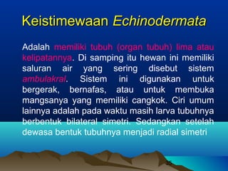 Keistimewaan Echinodermata
Adalah memiliki tubuh (organ tubuh) lima atau
kelipatannya. Di samping itu hewan ini memiliki
saluran air yang sering disebut sistem
ambulakral. Sistem ini digunakan untuk
bergerak, bernafas, atau untuk membuka
mangsanya yang memiliki cangkok. Ciri umum
lainnya adalah pada waktu masih larva tubuhnya
berbentuk bilateral simetri. Sedangkan setelah
dewasa bentuk tubuhnya menjadi radial simetri


                                   35
 