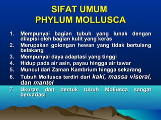 SIFAT UMUM
          PHYLUM MOLLUSCA
1.   Mempunyai bagian tubuh yang lunak dengan
     dilapisi oleh bagian kulit yang keras
2.   Merupakan golongan hewan yang tidak bertulang
     belakang
3.   Mempunyai daya adaptasi yang tinggi
4.   Hidup pada air asin, payau hingga air tawar
5.   Muncul dari Zaman Kambrium hingga sekarang
6.   Tubuh Mollusca terdiri dari kaki, massa viseral,
     dan mantel
7.   Ukuran dan    bentuk   tubuh   Mollusca   sangat
     bervariasi


                                        4
 