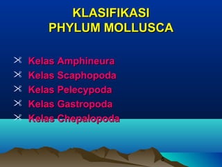 KLASIFIKASI
       PHYLUM MOLLUSCA

   Kelas Amphineura
   Kelas Scaphopoda
   Kelas Pelecypoda
   Kelas Gastropoda
   Kelas Chepalopoda


                        5
 