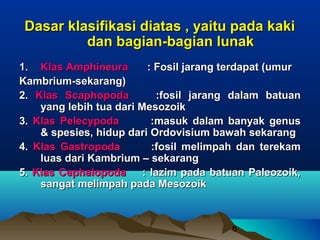 Dasar klasifikasi diatas , yaitu pada kaki
          dan bagian-bagian lunak
1. Klas Amphineura        : Fosil jarang terdapat (umur
Kambrium-sekarang)
2. Klas Scaphopoda          :fosil jarang dalam batuan
    yang lebih tua dari Mesozoik
3. Klas Pelecypoda         :masuk dalam banyak genus
    & spesies, hidup dari Ordovisium bawah sekarang
4. Klas Gastropoda         :fosil melimpah dan terekam
    luas dari Kambrium – sekarang
5. Klas Cephalopoda      : lazim pada batuan Paleozoik,
    sangat melimpah pada Mesozoik



                                         6
 