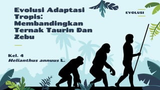 Evolusi Adaptasi
Tropis:
Membandingkan
Ternak Taurin Dan
Zebu
EVOLUSI
 