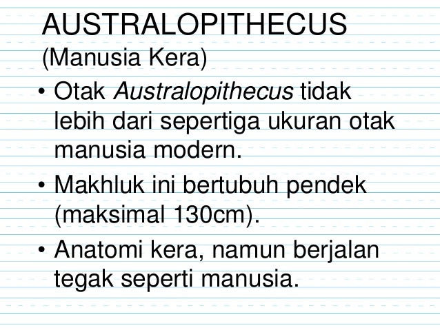 Evolusi manusia