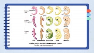 evolusi pertemuan kedua ini membahas tentang perubahan …