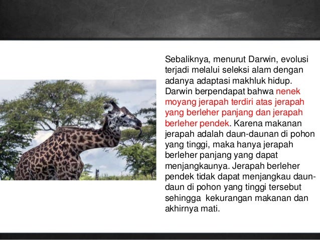 Biologi "EVOLUSI"