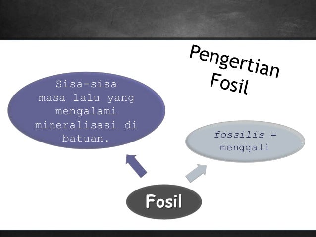 Biologi "EVOLUSI"