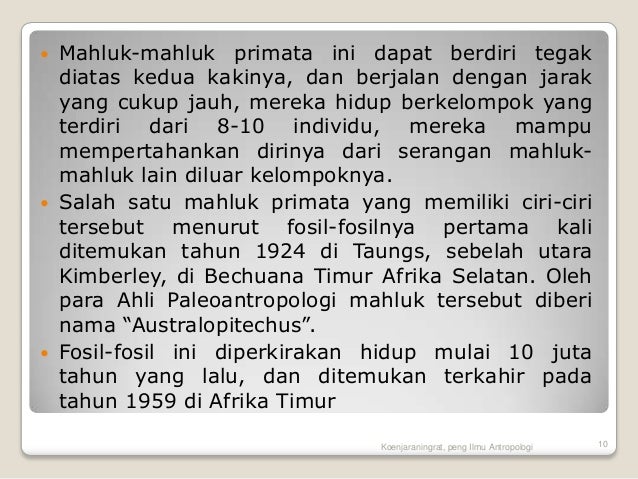 Evolusi primata dan manusia
