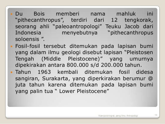 Evolusi primata dan manusia