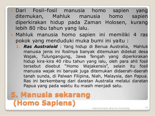 Evolusi primata dan manusia