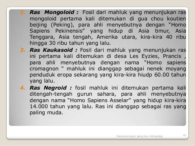 Evolusi primata dan manusia