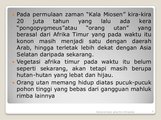 Evolusi primata dan manusia