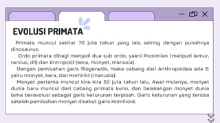EVOLUSI PRIMATA | PPT