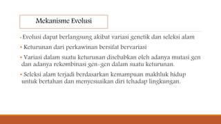 Mekanisme Evolusi
• Evolusi dapat berlangsung akibat variasi genetik dan seleksi alam
• Keturunan dari perkawinan bersifat bervariasi
• Variasi dalam suatu keturunan disebabkan oleh adanya mutasi gen
dan adanya rekombinasi gen-gen dalam suatu keturunan.
• Seleksi alam terjadi berdasarkan kemampuan makhluk hidup
untuk bertahan dan menyesuaikan diri tehadap lingkungan.
 