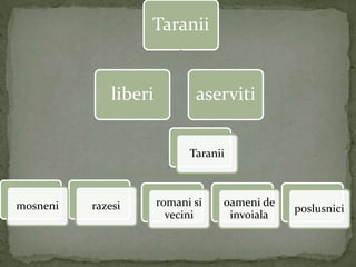 Taranii 
liberi aserviti 
Taranii 
mosneni razesi romani si 
vecini 
oameni de 
invoiala 
poslusnici 
 