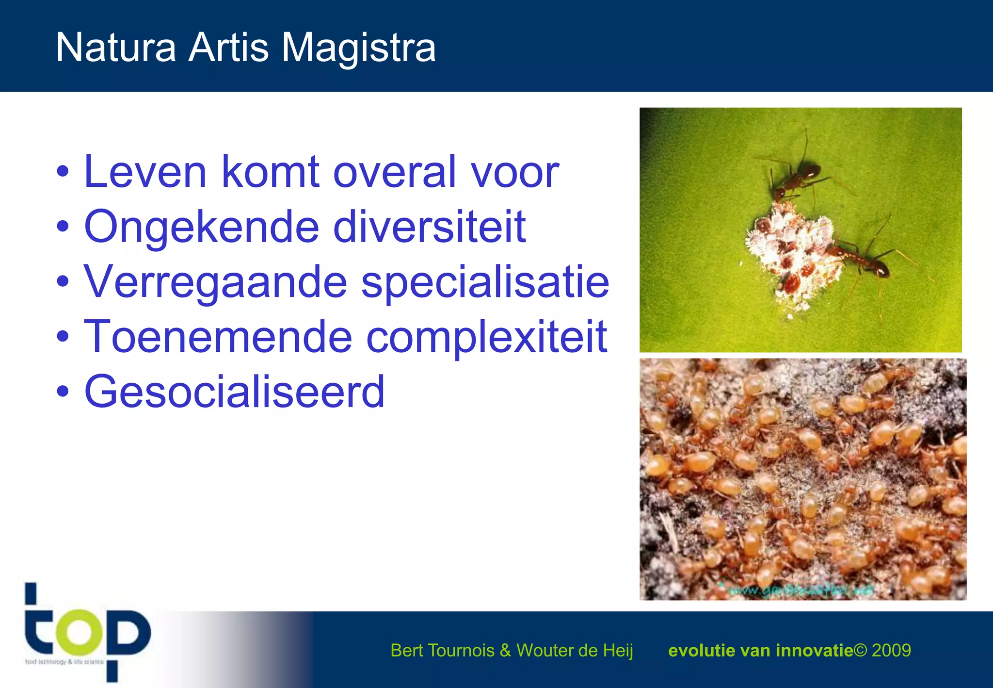 Natura Artis Magistra Leven komt overal voor  Ongekende diversiteit Verregaande specialisatie Toenemende complexiteit Gesocialiseerd 