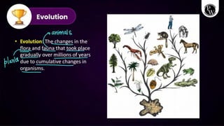 Class 12 Biology Evolution Chapter Notes | PDF