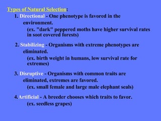 Types of Natural Selection :    1.  Directional  - One phenotype is favored in the  environment.  (ex. "dark" peppered moths have higher survival rates in soot covered forests) 2.  Stabilizing  - Organisms with extreme phenotypes are  eliminated.  (ex. birth weight in humans, low survival rate for extremes)   3.  Disruptive  - Organisms with common traits are  eliminated, extremes are favored.  (ex. small female and large male elephant seals)   4. Artificial  - A breeder chooses which traits to favor.   (ex. seedless grapes) 