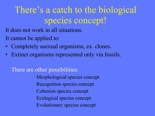 There’s a catch to the biological species concept! It does not work in all situations. It cannot be applied to: Completely asexual organisms, ex. clones. Extinct organisms represented only via fossils. There are other possibilities: Morphological species concept Recognition species concept Cohesion species concept Ecological species concept Evolutionary species concept 