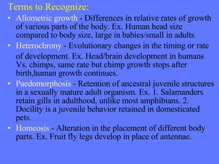 Terms to Recognize: Allometric growth  - Differences in relative rates of growth of various parts of the body. Ex. Human head size compared to body size, large in babies/small in adults Heterochrony  - Evolutionary changes in the timing or rate  of development. Ex. Head/brain development in humans Vs. chimps, same rate but chimp growth stops after birth,human growth continues. Paedomorphosis  - Retention of ancestral juvenile structures in a sexually mature adult organism. Ex. 1. Salamanders retain gills in adulthood, unlike most amphibians. 2. Docility is a juvenile behavior retained in domesticated pets. Homeosis  - Alteration in the placement of different body parts. Ex. Fruit fly legs develop in place of antennae. 