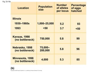 Locus Mn Honors Biology - Evolution | PPT