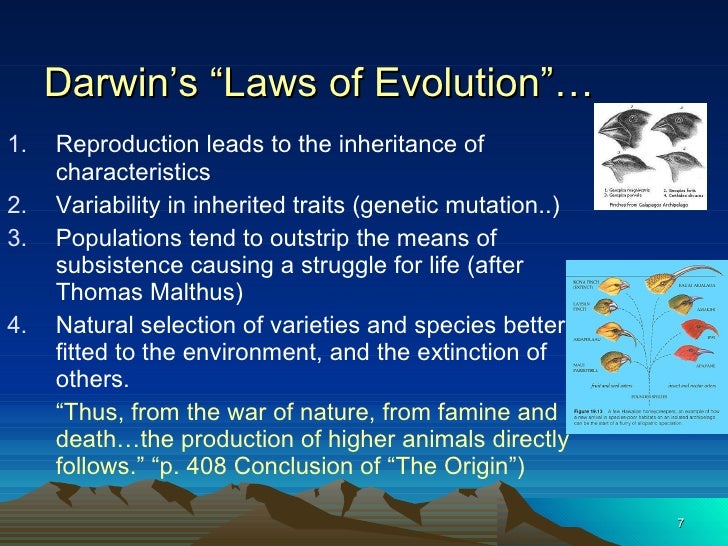 Darwin laws Darwin laws