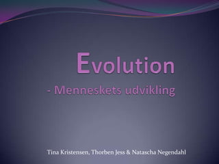 Evolution- Menneskets udvikling Tina Kristensen, Thorben Jess & Natascha Negendahl 