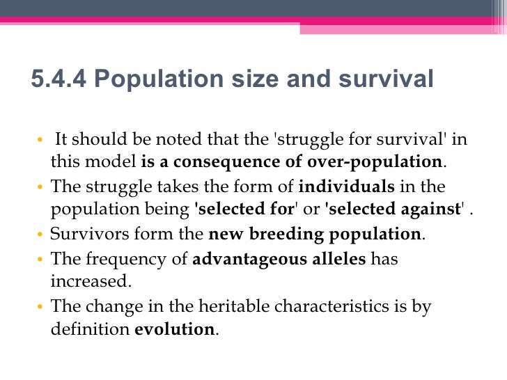 Ib Biology Evolution