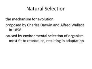 Natural Selection
the mechanism for evolution
proposed by Charles Darwin and Alfred Wallace
in 1858
caused by environmental selection of organism
most fit to reproduce, resulting in adaptation
 