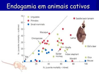 Endogamia em animais cativos
 