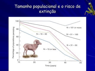 Tamanho populacional e o risco de
           extinção
 