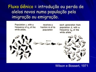 Fluxo Gênico = introdução ou perda de
  alelos novos numa população pela
  imigração ou emigração.




                       Wilson e Bossert, 1971
 