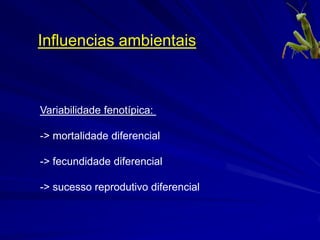Influencias ambientais



Variabilidade fenotípica:

-> mortalidade diferencial

-> fecundidade diferencial

-> sucesso reprodutivo diferencial
 