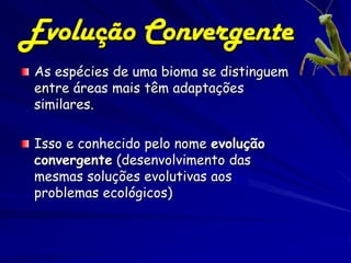 Evolução Convergente
As espécies de uma bioma se distinguem
entre áreas mais têm adaptações
similares.

Isso e conhecido pelo nome evolução
convergente (desenvolvimento das
mesmas soluções evolutivas aos
problemas ecológicos)
 