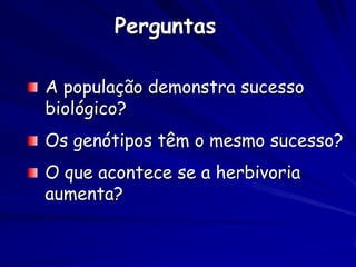 Perguntas

A população demonstra sucesso
biológico?
Os genótipos têm o mesmo sucesso?
O que acontece se a herbivoria
aumenta?
 