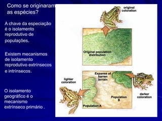 Como se originaram
 as espécies?

A chave da especiação
é o isolamento
reprodutivo de
populações.

Existem mecanismos
de isolamento
reprodutivo extrínsecos
e intrínsecos.



O isolamento
geográfico é o
mecanismo
extrínseco primário .
 