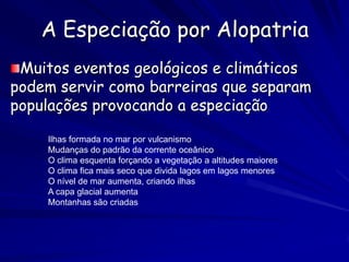 A Especiação por Alopatria
 Muitos eventos geológicos e climáticos
podem servir como barreiras que separam
populações provocando a especiação

    Ilhas formada no mar por vulcanismo
    Mudanças do padrão da corrente oceânico
    O clima esquenta forçando a vegetação a altitudes maiores
    O clima fica mais seco que divida lagos em lagos menores
    O nível de mar aumenta, criando ilhas
    A capa glacial aumenta
    Montanhas são criadas
 