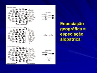 Especiação
geográfica =
especiação
alopatrica
 