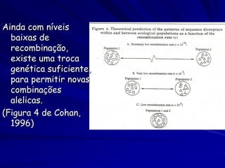 Ainda com níveis
  baixas de
  recombinação,
  existe uma troca
  genética suficiente,
  para permitir novas
  combinações
  alelicas.
(Figura 4 de Cohan,
  1996)
 