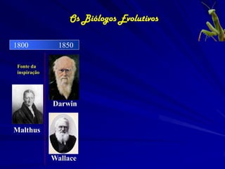 Os Biólogos Evolutivos

1800            1850

 Fonte da
 inspiração




              Darwin


Malthus


              Wallace
 